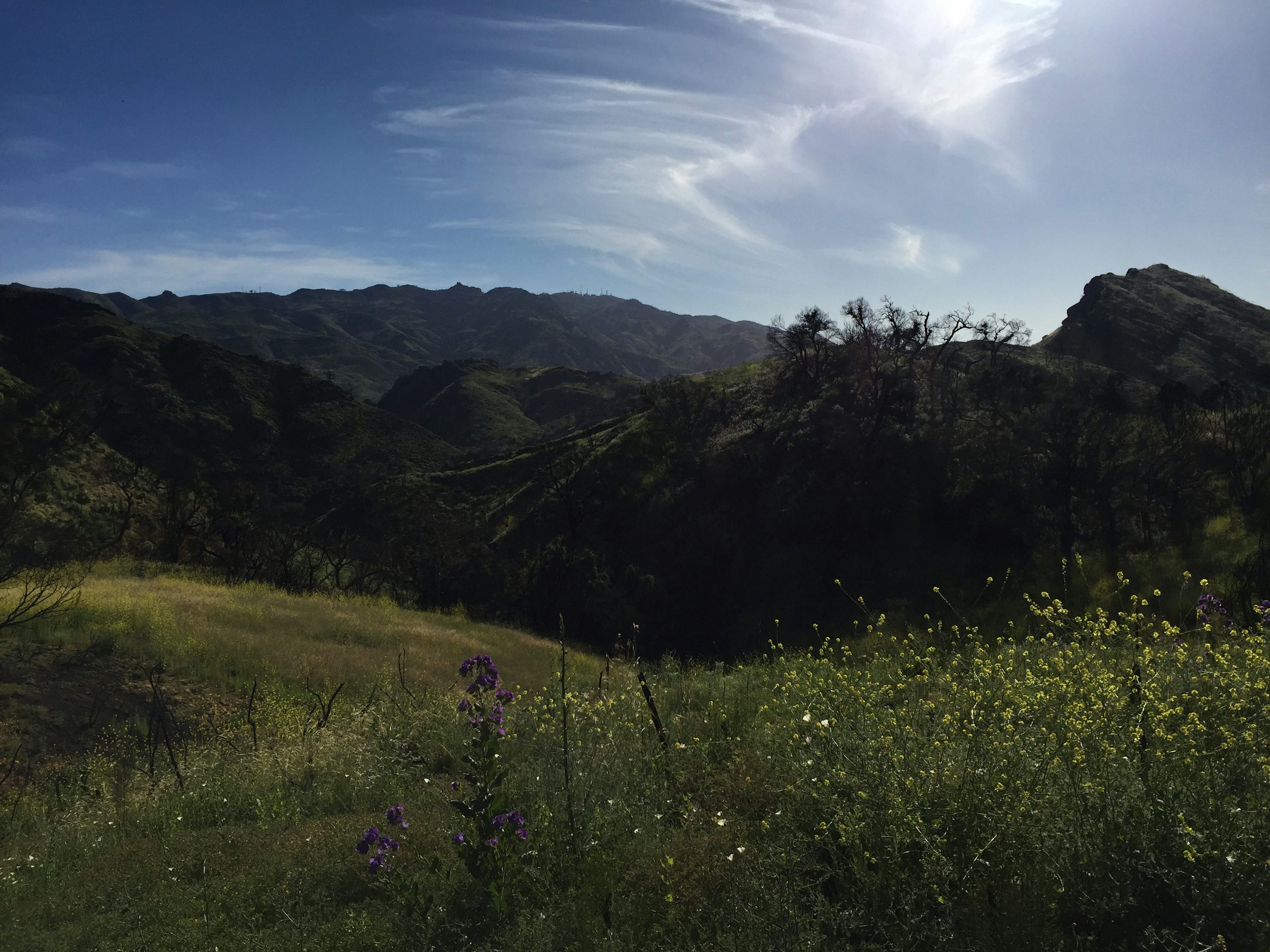 Professional home care services in Hidden Hills, California